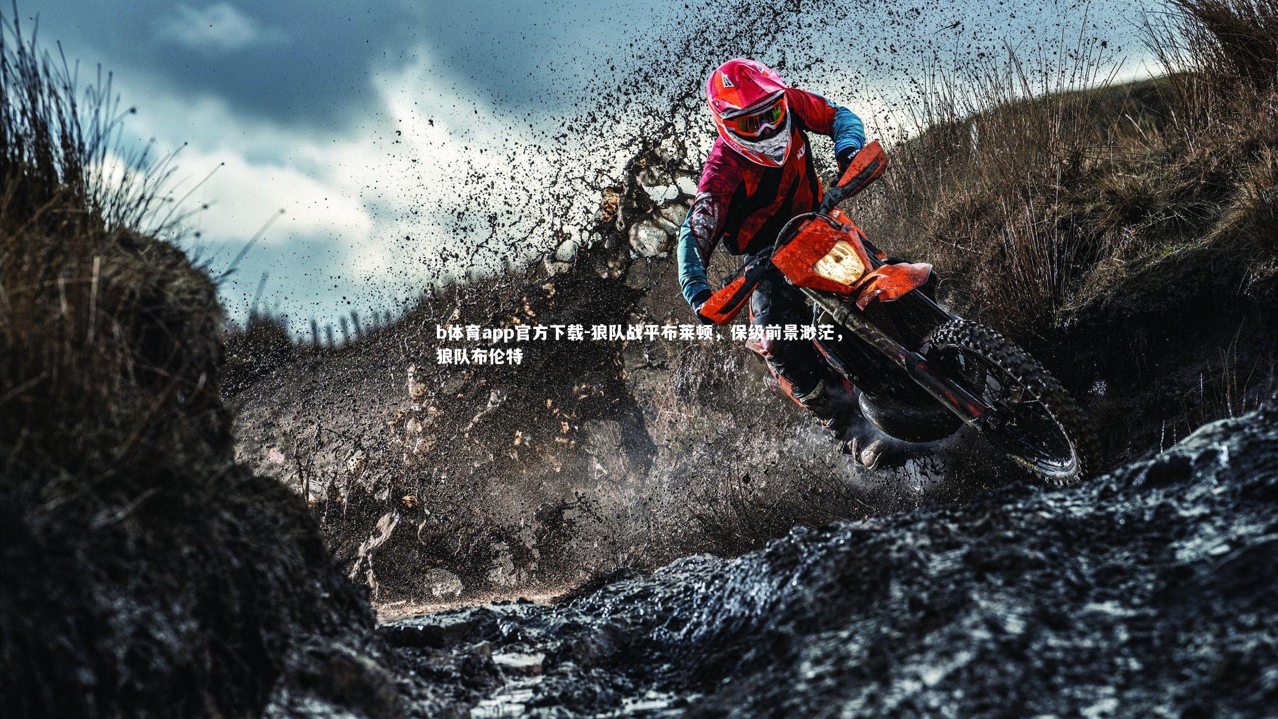 狼队战平布莱顿，保级前景渺茫，狼队布伦特